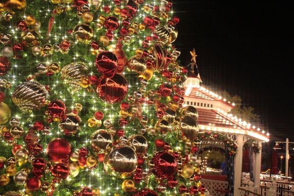 アメリカ(米国)・ロサンゼルス「LA🇺🇸DLR🎄」の写真