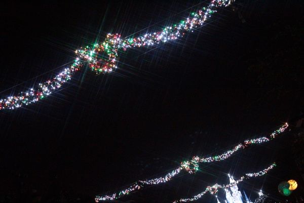 アメリカ(米国)・ロサンゼルス「LA🇺🇸DLR🎄」の写真