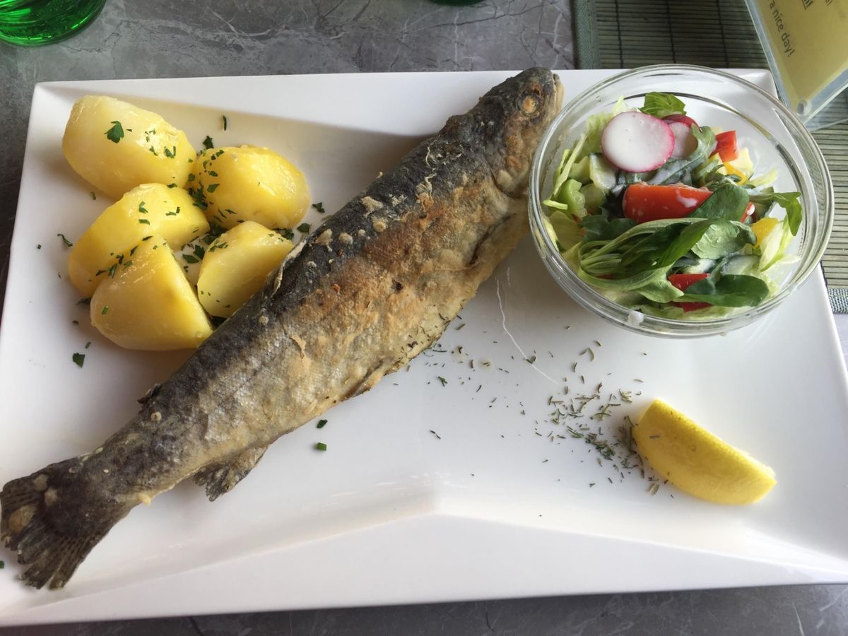 山の上からの滑り台、面白かった〜😃