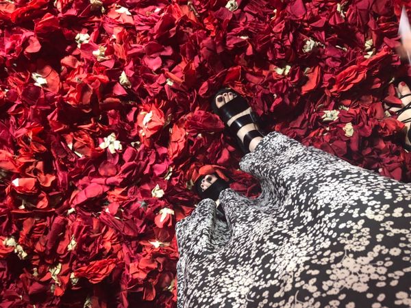 大韓民国 (韓国)・ソウル「韓国 」の写真：2日目:piknicという映え映えなアー...