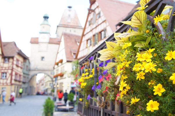 ドイツ・フランクフルト、ローデンブルク、ケルン、ミュンヘン「大好きドイツの旅」の写真