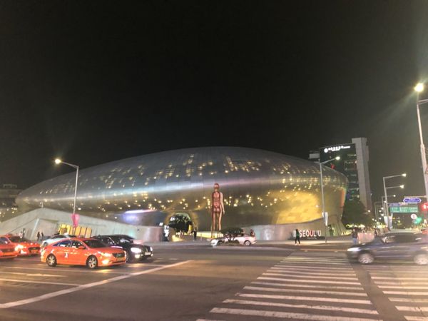 大韓民国 (韓国)・ソウル「韓国 」の写真：2日目:締めのキョチョンチキン🐓 もはや...