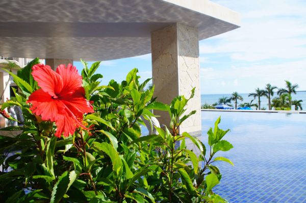 日本・沖縄・石垣島「石垣島ぐるり」の写真