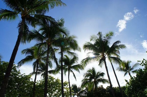 アメリカ(米国)・ハワイ「ハワイメジャーどころ制覇の旅」の写真