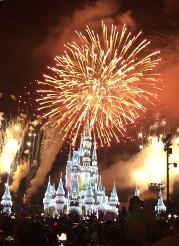 アメリカ(米国)・キーウェスト、WDW、マイアミ、エバーグレーズ国立公園「フロリダで年越しの旅」の写真