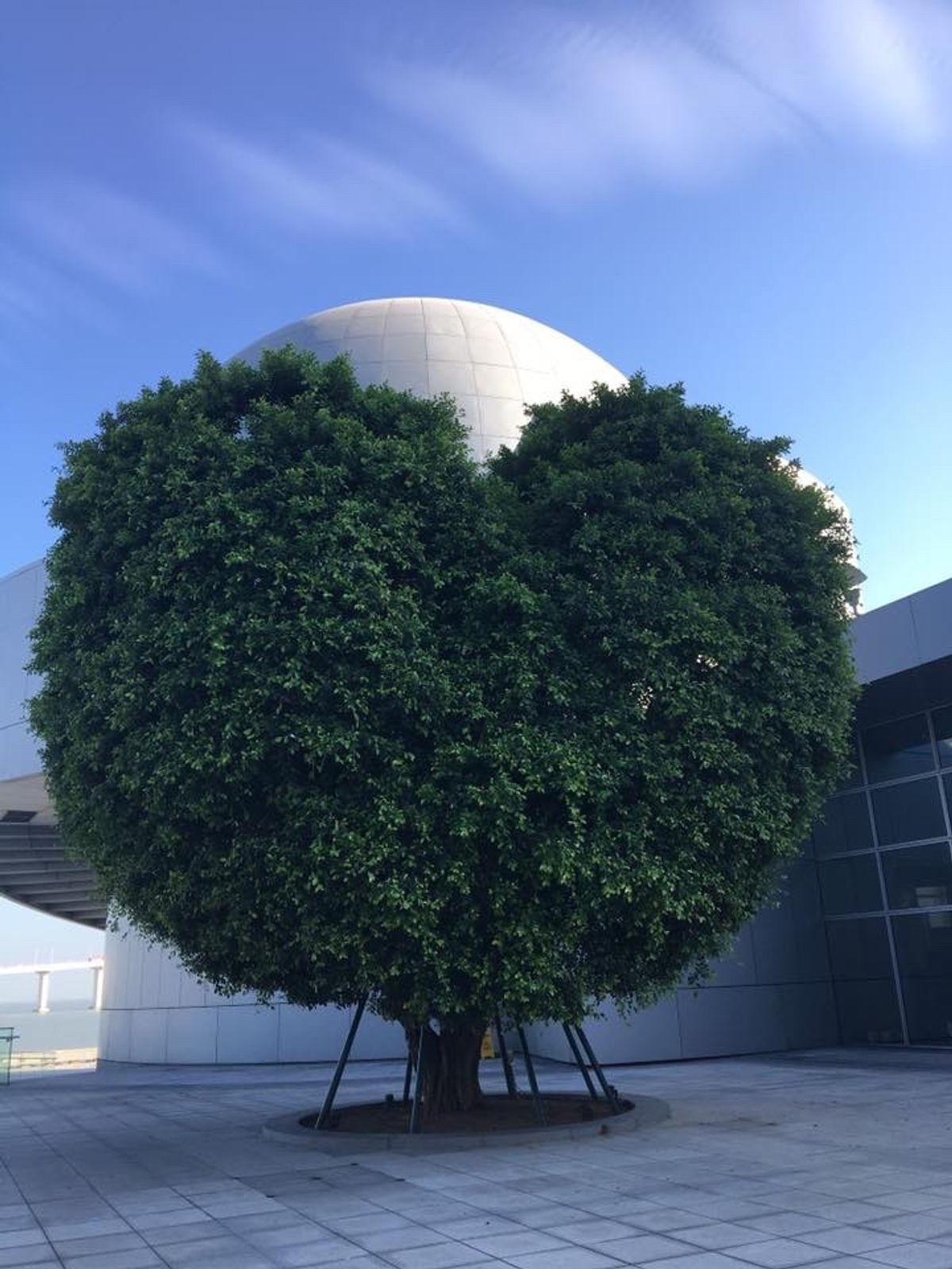 マカオの科学博物館の所にありました！ポケストップあるかなってチェックしたら...