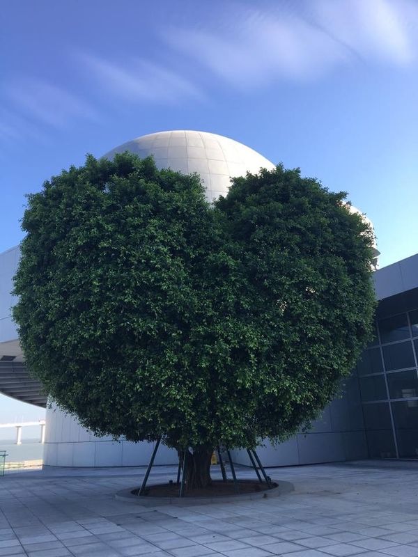 マカオ・マカオ「マカオ」の写真：マカオの科学博物館の所にありました！ポケ...