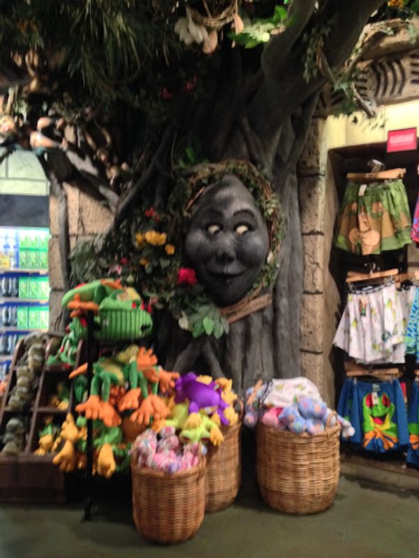 アメリカ(米国)・New York，San Francisco「ニューヨーク&サンフランシスコ」の写真：何したかよく覚えていないけどレインフォレ...