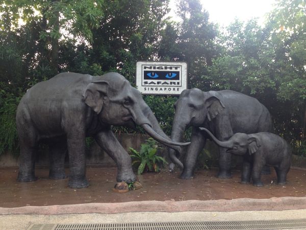 シンガポール「ハウパーヴィラは必見」の写真：ナイトサファリ