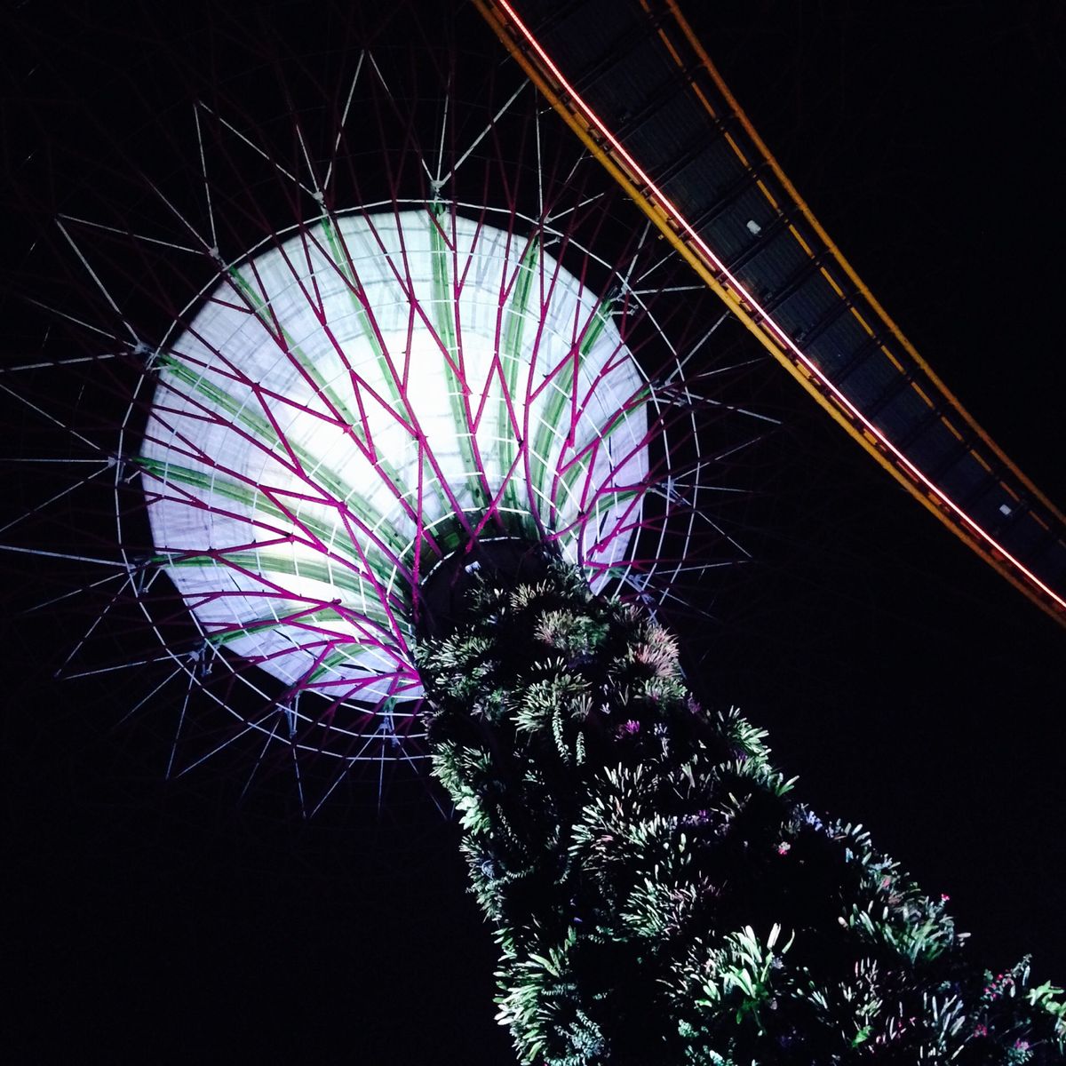 シンガポールといえばマーライオンですよね

ラクサ美味しかった〜