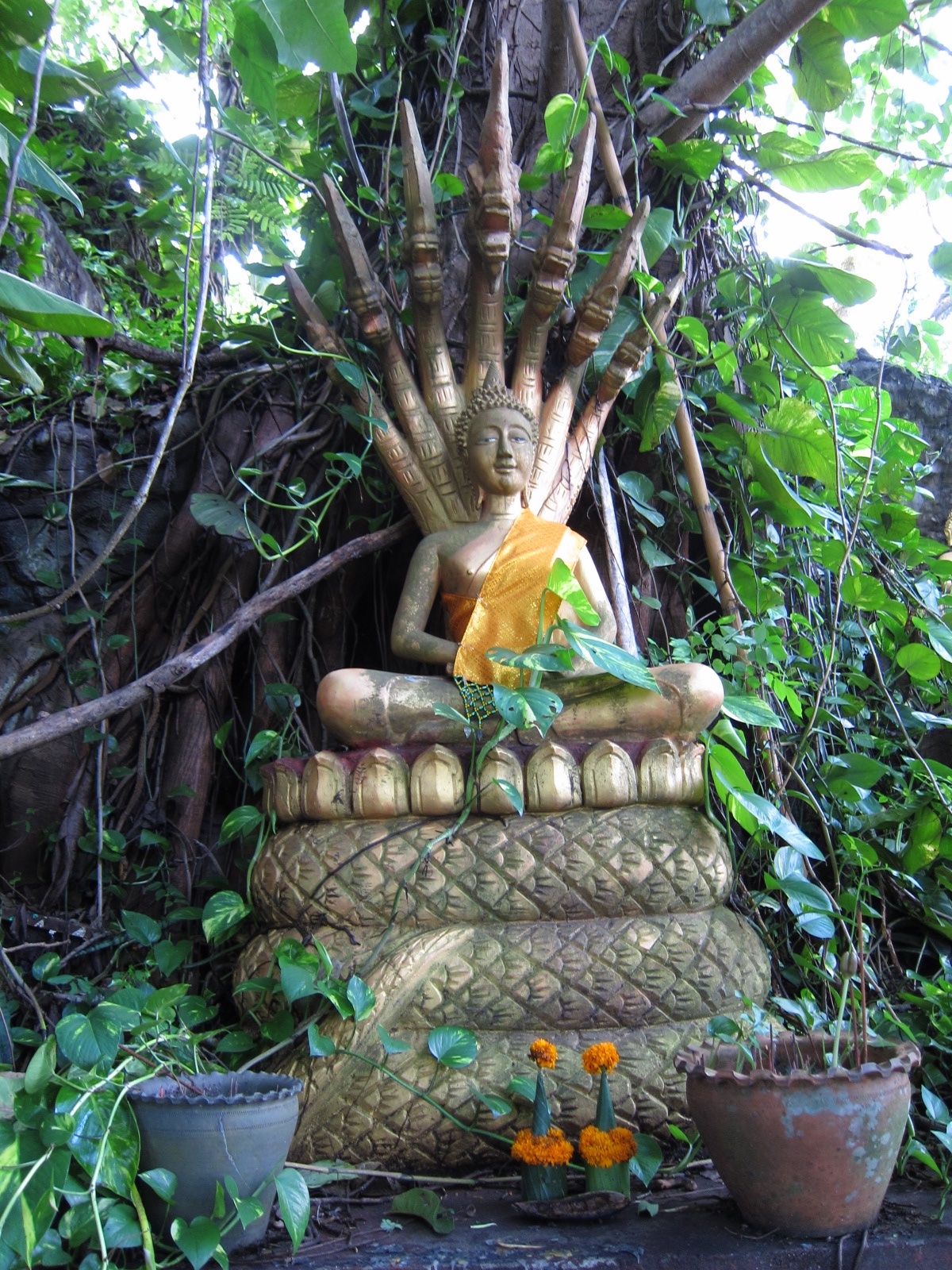 プーシーの丘
仏像いっぱい✨