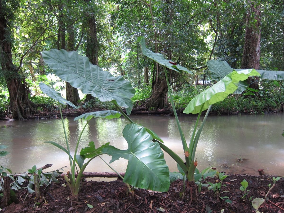 クアンシー滝
水は濁っていたけど、山歩きして泳いで気持ち良かったです。