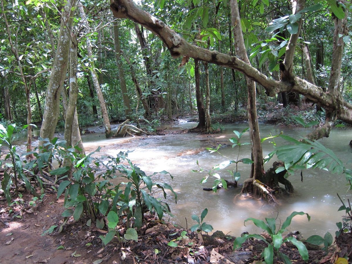 クアンシー滝
水は濁っていたけど、山歩きして泳いで気持ち良かったです。