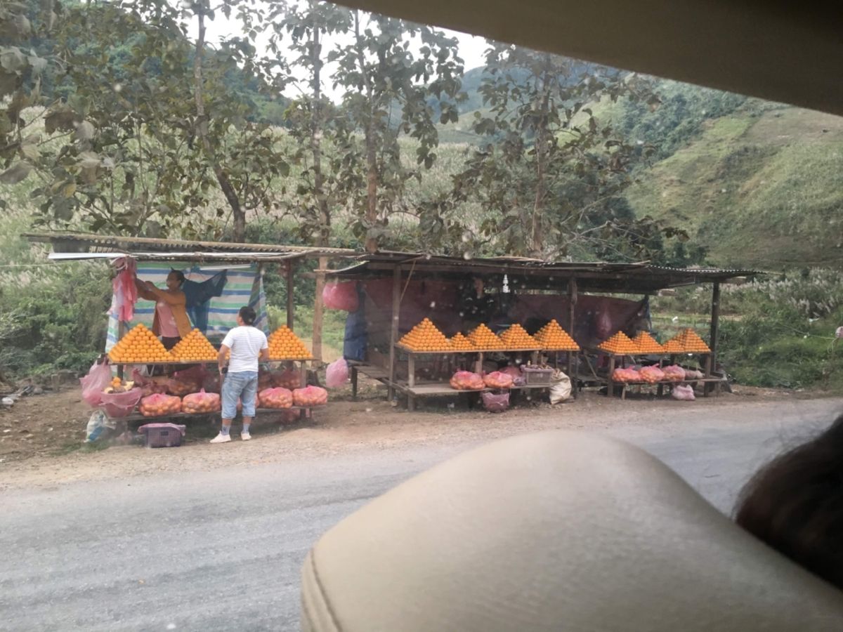 シーパンドン→ビエンチャン🚌
16時間かけたカオスなバス道中