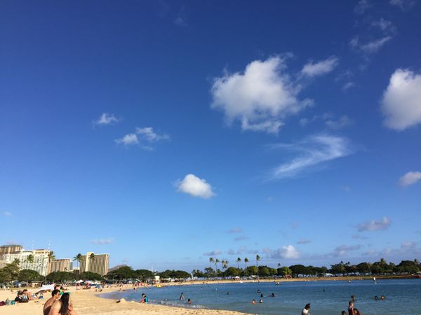 アメリカ(米国)・ホノルル「Hawaii」の写真