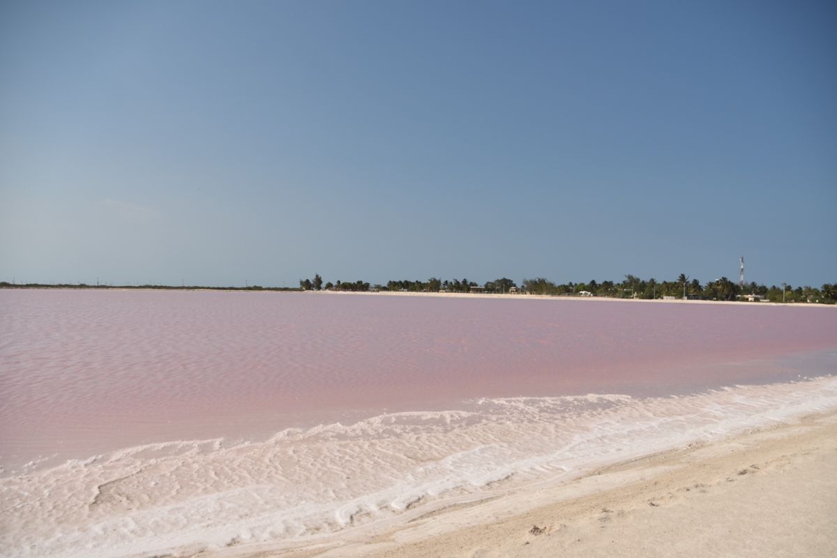ラテンアメリカの風を感じて