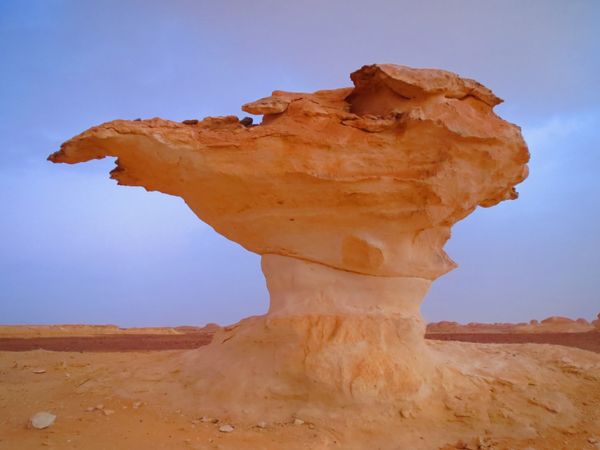 エジプト・カイロ、ダハブ「エジプト🇪🇬本当にウザかった国」の写真