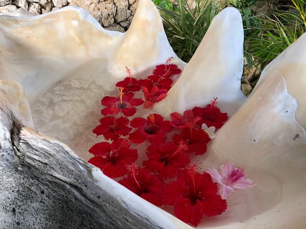 日本「沖縄」の写真