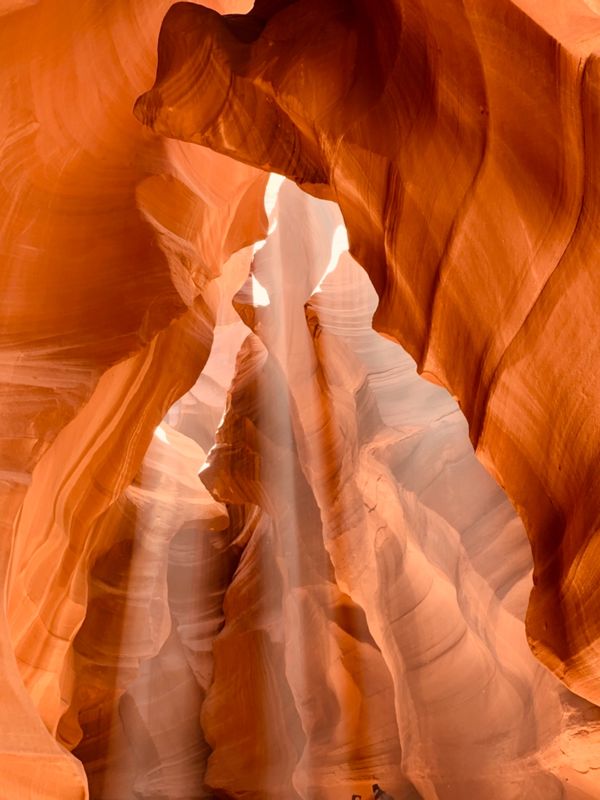 アメリカ(米国)・ロサンゼルス、ラスベガス、グランドサークル(グランドキャニオン、ホースシューベント、アンテロープキャニオン)「アメリカ西部の旅🇺🇸」の写真