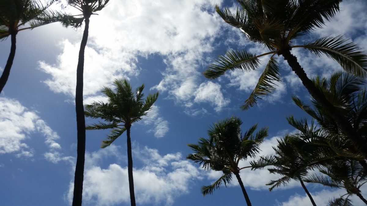 卒業旅行🏝
天気があまり良くなかったので
またリベンジしたい✨