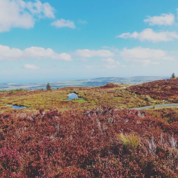 アイルランド「p.s.アイラブユー旅」の写真