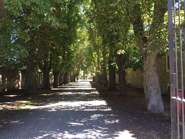 スペイン・マドリード「スペイン、カミーノ旅」の写真