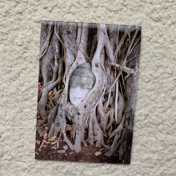 タイ・バンコク「まだ真夏のタイ」の写真