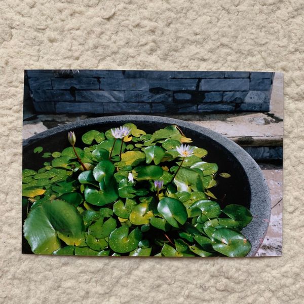 タイ・バンコク「まだ真夏のタイ」の写真