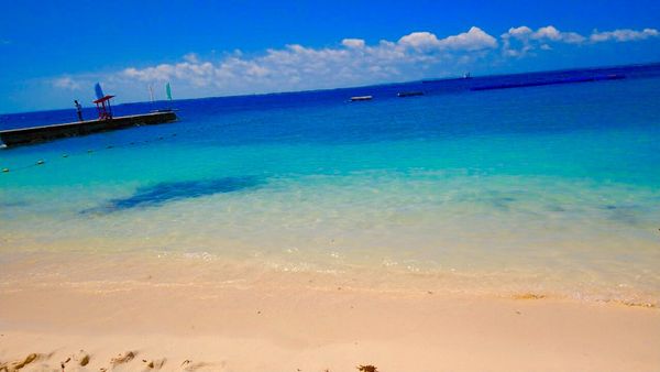 フィリピン・セブ「セブ」の写真