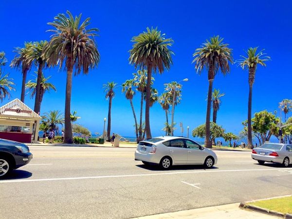 アメリカ(米国)「カリフォルニア」の写真