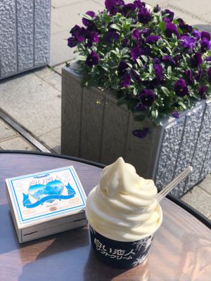 ひたすら食べるだけの弾丸旅