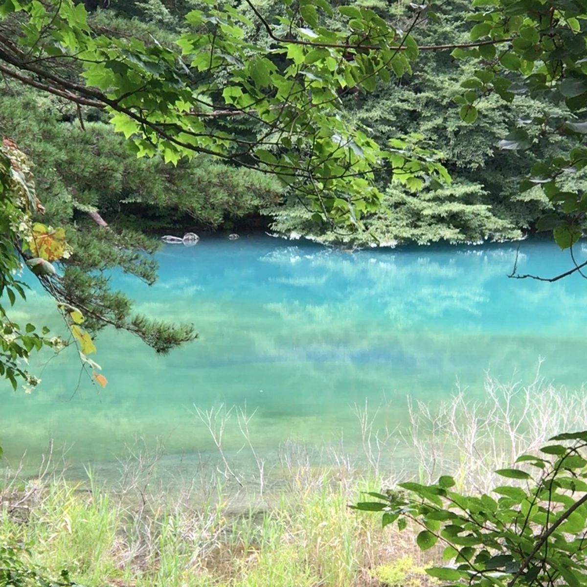 大内宿と五色沼と盆祭り