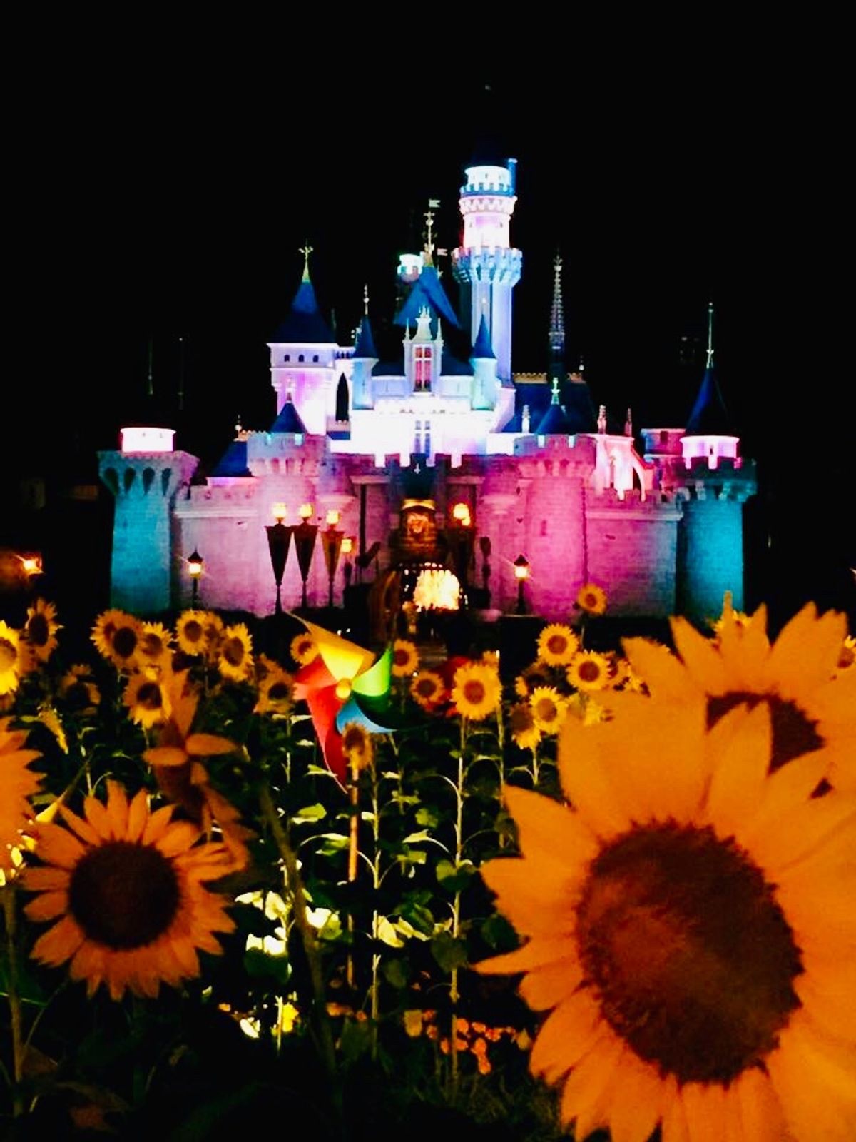 香港ディズニー