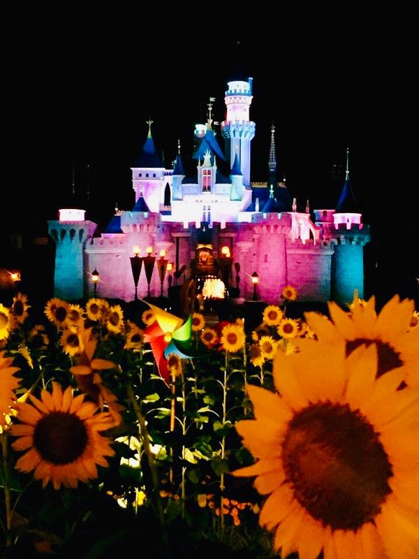 香港・香港「香港マカオ」の写真：香港ディズニー