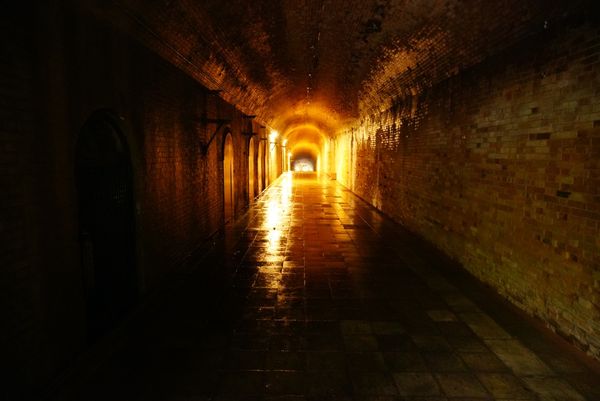 日本「猿島」の写真：ラピュタの世界