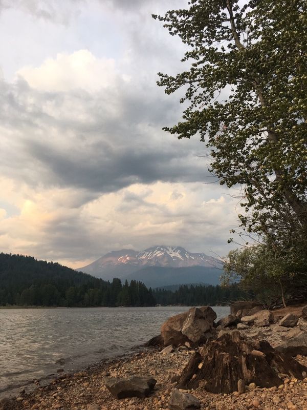 アメリカ(米国)・シャスタ山「シャスタの旅(ツアー参加)」の写真