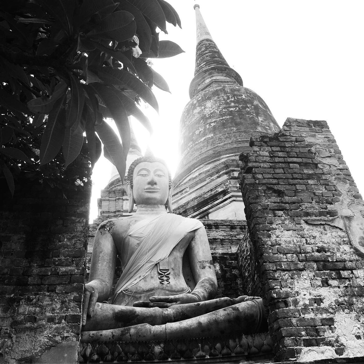 タイ。アユタヤの仏像。
