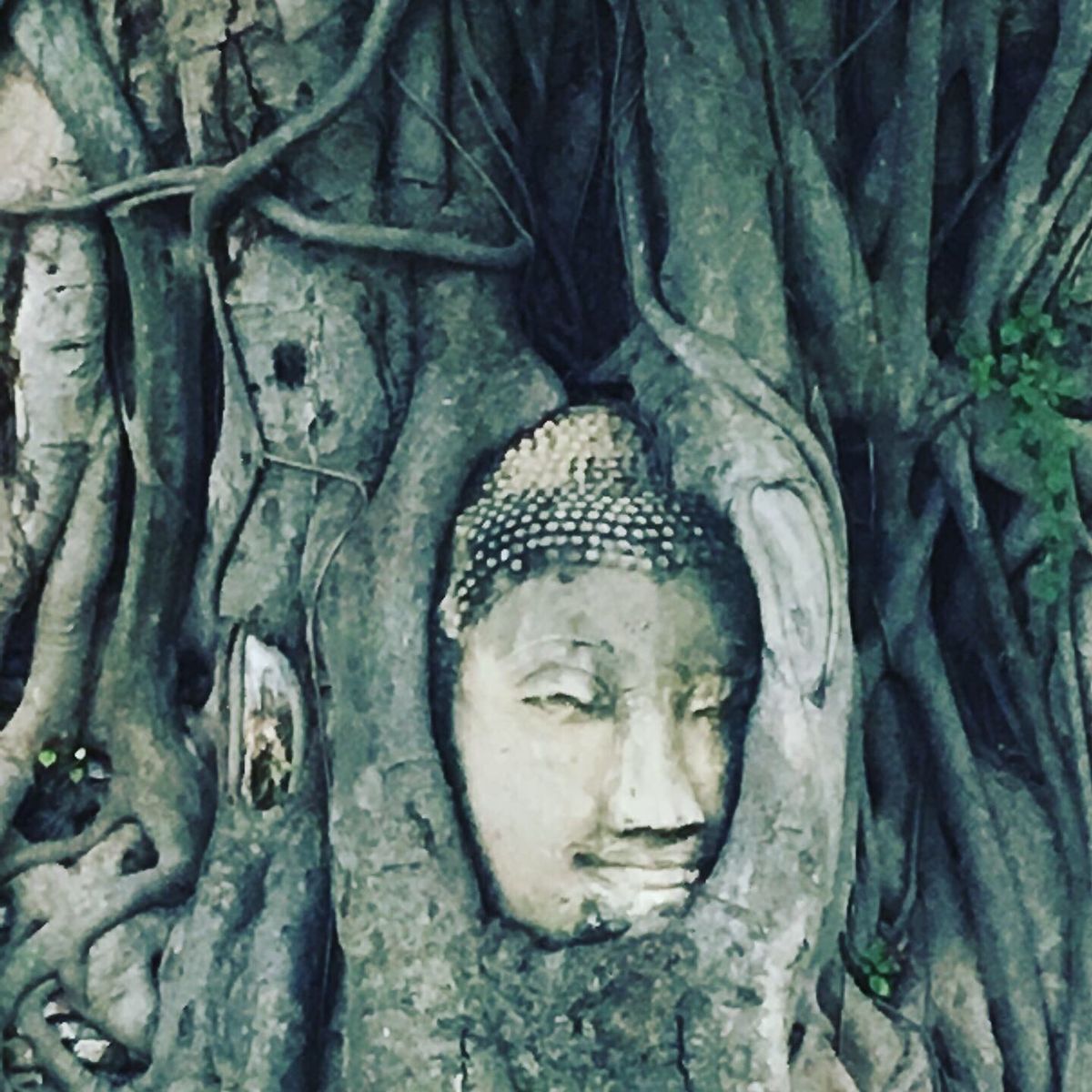 タイ。アユタヤの仏像。
