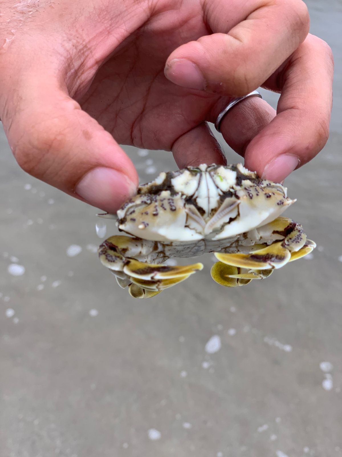 稲佐の浜。
例の有名な岩の写真すら無くて申し訳ないが、ここは海の中で捕まえ...