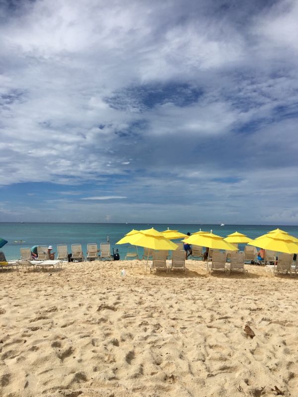 ケイマン諸島・セブンマイルビーチ「ケイマン諸島2017.11」の写真