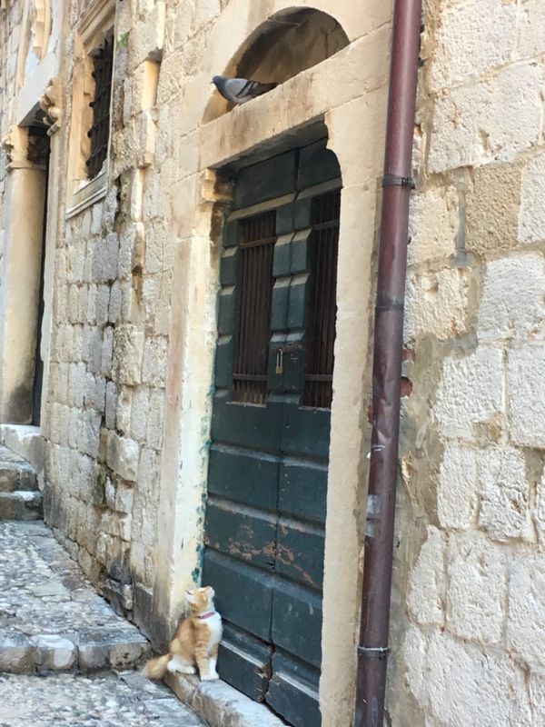 クロアチア・ドゥブロヴニク、ザグレブ「ドゥブロヴニク、ザグレブ、モスタル2016.11」の写真