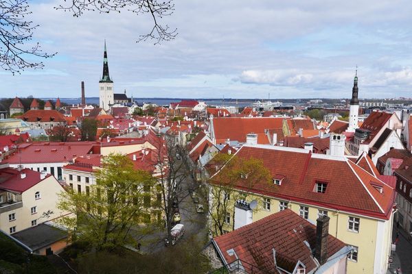 エストニア・Tallinn「バルト三国と北極圏(エストニア)」の写真：かわいいヨーロッパの町という感じで、観光...