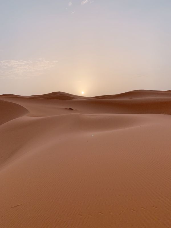 モロッコ・シャウエン、フェズ、マラケシュ、メルズーガ、サハラ砂漠「モロッコ🇲🇦🐪🌙✨」の写真：この旅のメイン中のメインイベント
1泊2...