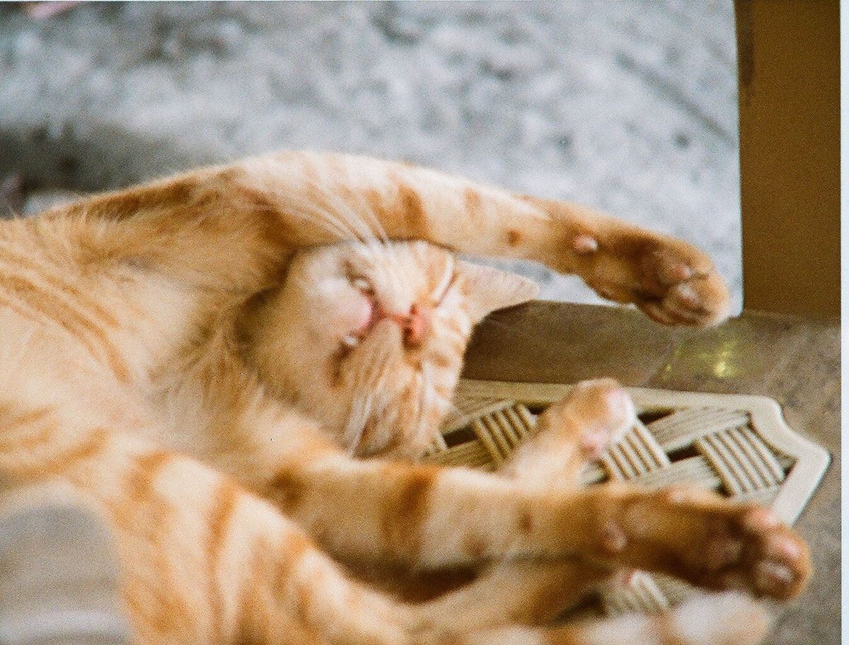 大阪きら3時間ちょっとで着く場所
何より日本語が通じるのが良い◎w
ご飯も...