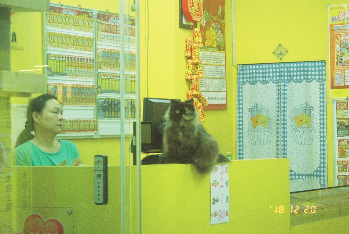 高雄から電車に乗って台南へ🚃
台北とはまた違ってよかった◎