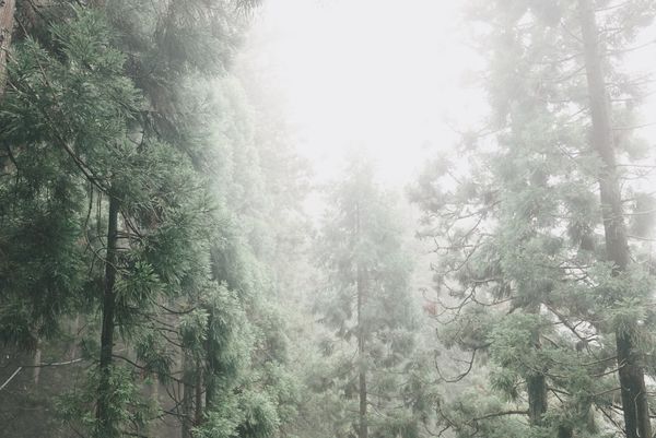 日本・比叡山「比叡山延暦寺」の写真