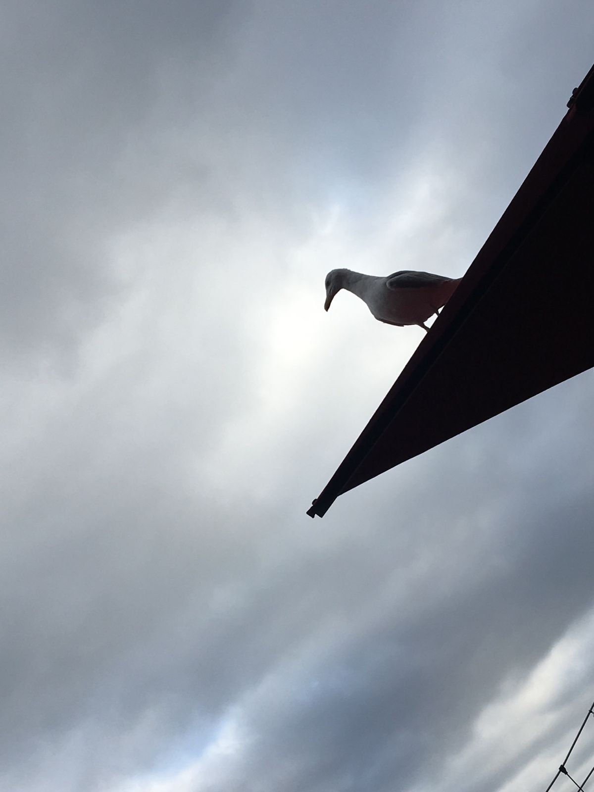 パディントン駅発懐かしの地、エクセターへ。研修の担当だった先生方、ホストフ...