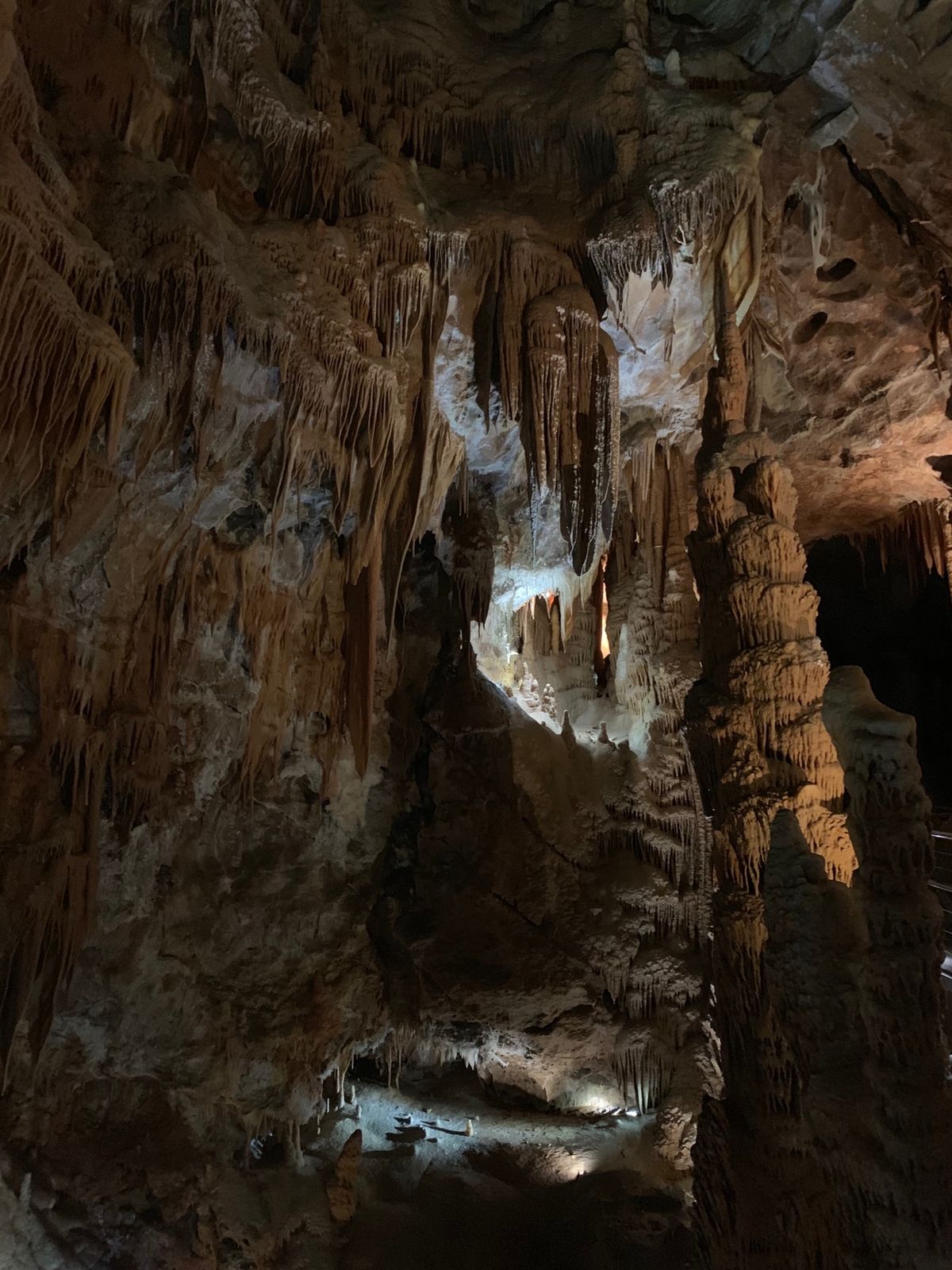 ブルーマウンテンズ