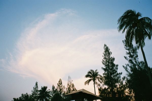 マレーシア・ペナン「マレーシア」の写真