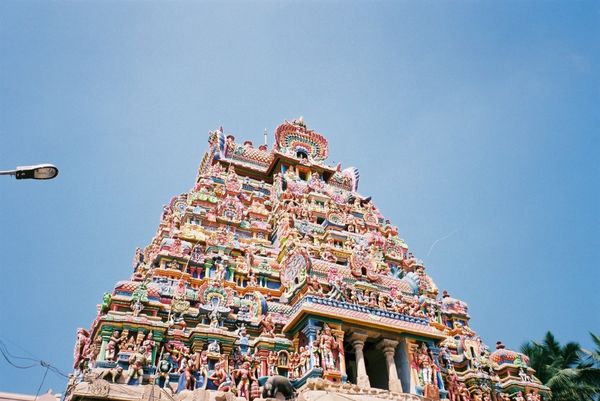 インド・マドゥライ「インド」の写真